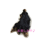 獣's（個別スタンプ：3）