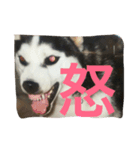 獣's（個別スタンプ：5）