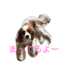 キャバが大好き♡（個別スタンプ：3）