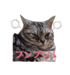 デブ猫アメショーちえこ（個別スタンプ：6）