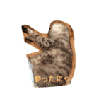 猫たちの日常会話（個別スタンプ：4）