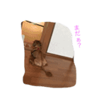 ちゃ2（個別スタンプ：3）