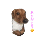 ちゃ2（個別スタンプ：6）