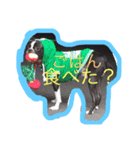 かわいいぶさかわ犬たち（個別スタンプ：5）