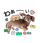 choco's sticker（個別スタンプ：3）