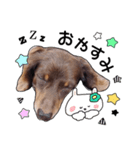 choco's sticker（個別スタンプ：8）