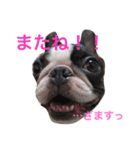 ウナちゃんの日常（個別スタンプ：7）