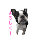 ウナちゃんの日常（個別スタンプ：11）