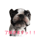 ウナちゃんの日常（個別スタンプ：12）