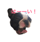 ウナちゃんの日常（個別スタンプ：13）