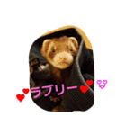 フェレットのももちゃん（個別スタンプ：14）