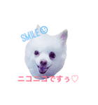 我が家の悪達（個別スタンプ：2）