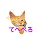 我が家の悪達（個別スタンプ：8）