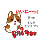 面白い犬日本語タイ語（個別スタンプ：17）