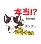 面白い犬日本語タイ語（個別スタンプ：23）