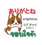 面白い犬日本語タイ語（個別スタンプ：24）