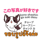 面白い犬日本語タイ語（個別スタンプ：28）