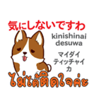 面白い犬日本語タイ語（個別スタンプ：37）