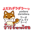 面白い犬日本語タイ語（個別スタンプ：40）