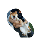 柴犬なな（個別スタンプ：8）
