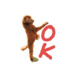 トイプードルのショコラ1（個別スタンプ：7）