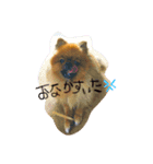 姫ちゃんのスタンプ（個別スタンプ：2）