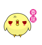 Sunny Day Chicken (Round)（個別スタンプ：2）