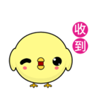 Sunny Day Chicken (Round)（個別スタンプ：25）