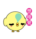 Sunny Day Chicken (Round)（個別スタンプ：30）