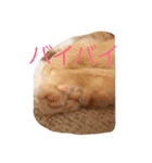マロンレオン❤（個別スタンプ：2）