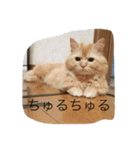 マロンレオン❤（個別スタンプ：6）