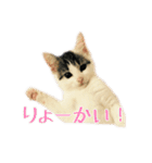 こまるスタンプ（個別スタンプ：3）
