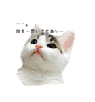 こまるスタンプ（個別スタンプ：11）