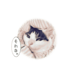 こまるスタンプ（個別スタンプ：19）