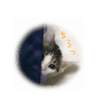 こまるスタンプ（個別スタンプ：28）