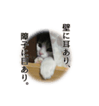 こまるスタンプ（個別スタンプ：31）