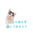 こまるスタンプ（個別スタンプ：40）