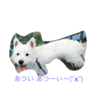 けんたの毎日（個別スタンプ：4）