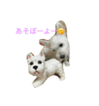けんたの毎日（個別スタンプ：6）