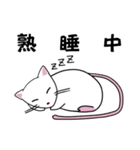 きちゅね（個別スタンプ：22）