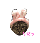 モモと姫のなにげなトーク（個別スタンプ：2）