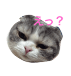 モモと姫のなにげなトーク（個別スタンプ：5）