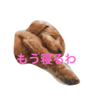 ボルちゃんず（個別スタンプ：1）