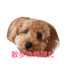 ボルちゃんず（個別スタンプ：2）
