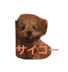 ボルちゃんず（個別スタンプ：4）