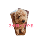 ボルちゃんず（個別スタンプ：6）