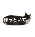 わがまま猫なつめ（個別スタンプ：9）