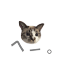 てんのん（個別スタンプ：11）