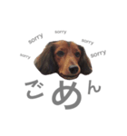 てんのん（個別スタンプ：12）