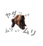 てんのん（個別スタンプ：14）